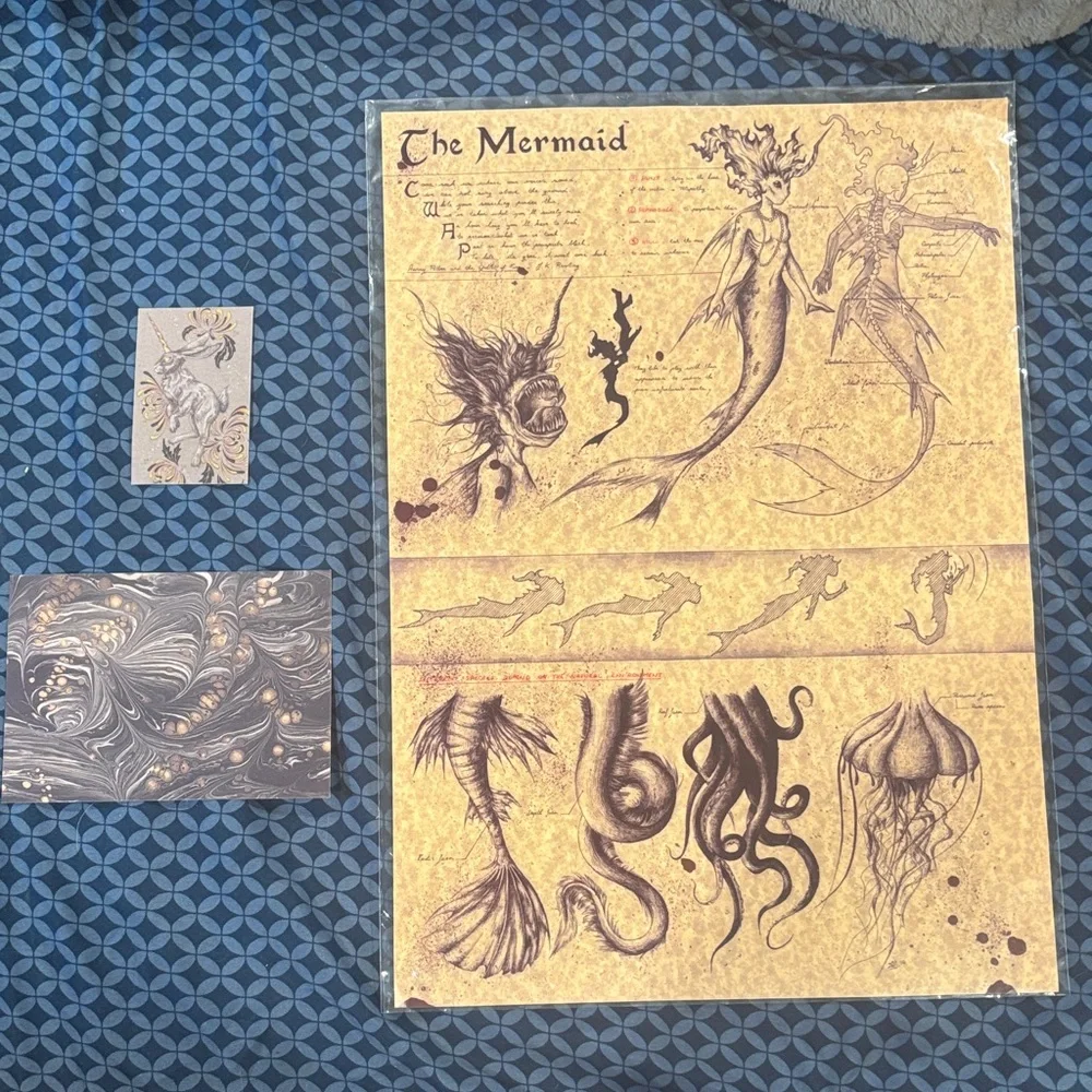 Zellgarm Artistic Mermaid Sea Creature Sketch Poster
